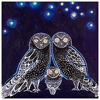 Wall Art - Owls At Night 14x14