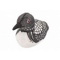 Audubon Bird II Common Loon