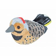 Audubon Bird II Northern Flicker