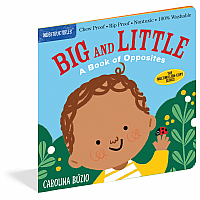 Indestructibles: Big and Little: A Book of Opposites