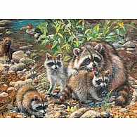 350 pc Family Puzzle Raccoon Family