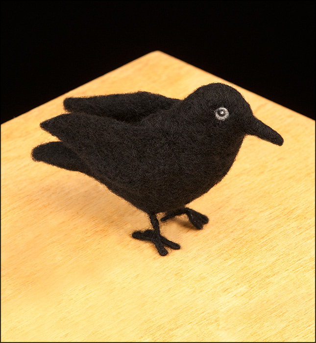 Needle Felting Kit Raven