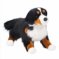 Alps Bernese Mountain Dog