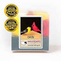 Needle Felting Starter Kit Birds 