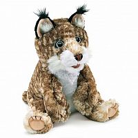 Puppet, Bobcat Kitten