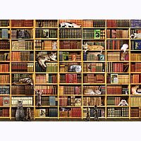 1000 pc The Cat Library