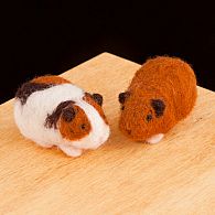 Needle Felting Kit Guinea Pigs