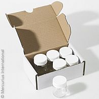 Paint Jar