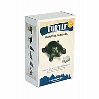 Soapstone Carving Kit Turtle