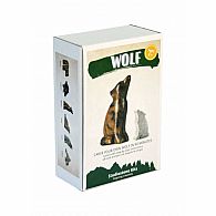 Soapstone Carving Kit Wolf