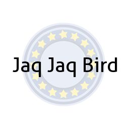 Jaq Jaq Bird